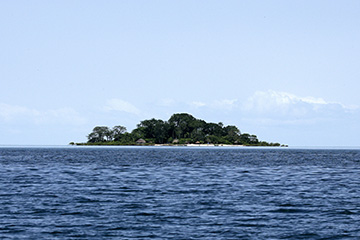 比紹港口查詢_bissau港口代碼_幾內(nèi)亞比紹比紹港口代碼